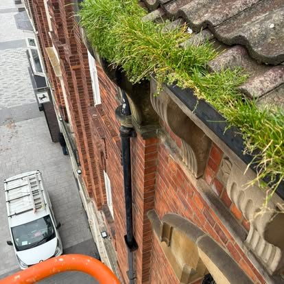 Masonry gutter blocked with vegetation before clearance