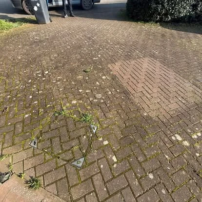 Block-paved driveway before cleaning, with growth visible between the blocks